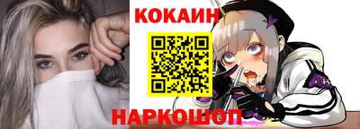 крисы Пенза