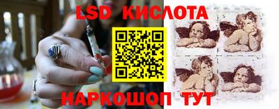 крисы Пенза