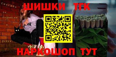 крисы Пенза