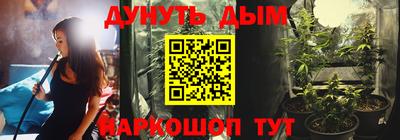 крисы Пенза