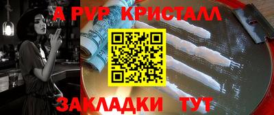 крисы Пенза