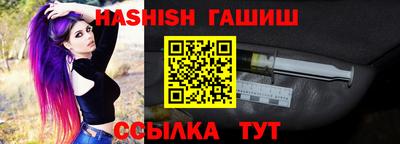 крисы Пенза